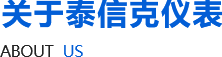电容式液位计_双色液位计_磁性河南泰信克仪表技术有限公司(图2)