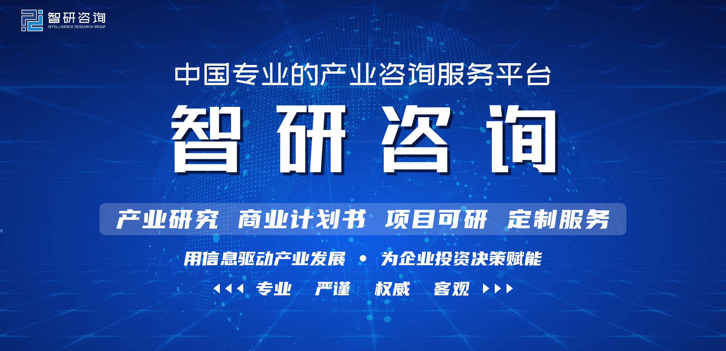 2022-2028年中国智能仪表行业市场竞争态势及发展趋向分析报告(图1)