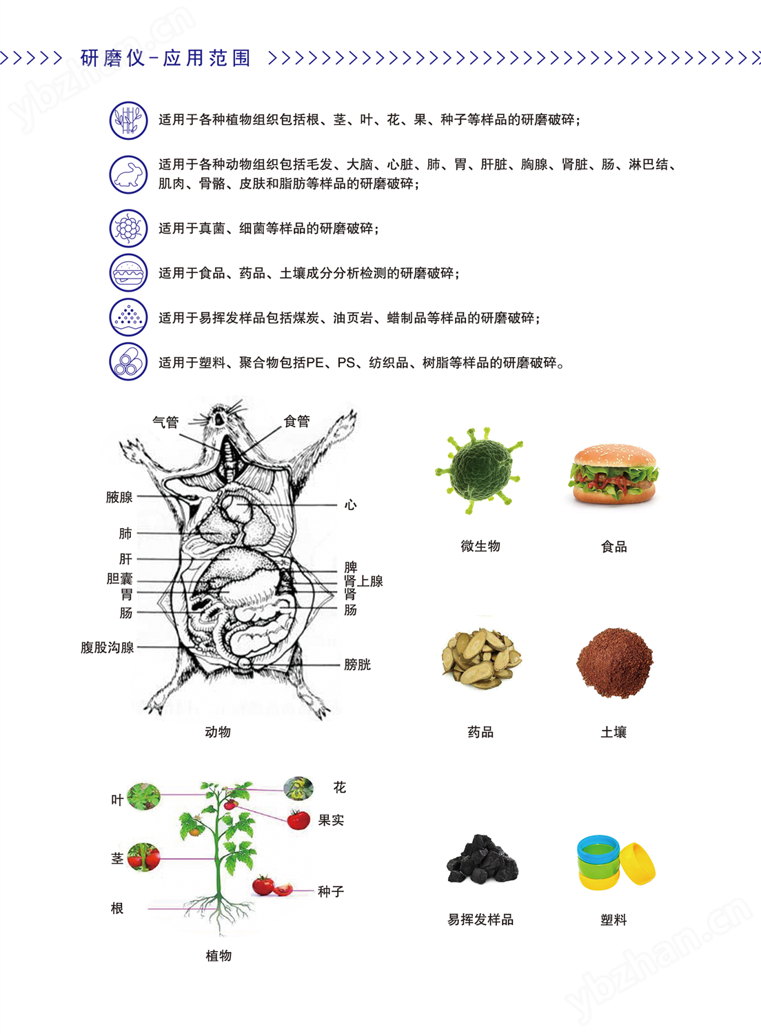 多样品冷冻研磨仪(图2)