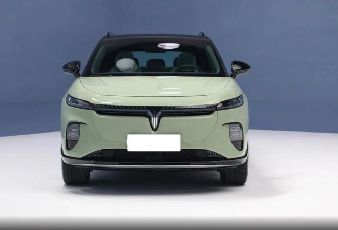 岚图知音：预售价2099万起搭载L29级智能驾驶辅助技术(图2)